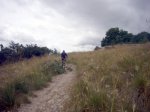90.JPG