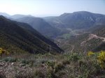 IMG_0040.jpg