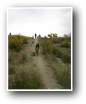 DSC05535.jpg