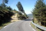 DSC03891.jpg