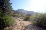 DSC03894.jpg