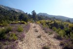 DSC03895.jpg