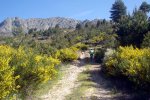 DSC03896.jpg