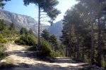 DSC03901.jpg