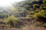 DSC04039.jpg