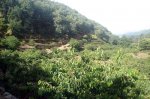 DSC04041.jpg