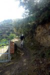 DSC04042.jpg