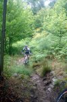 DSC04043.jpg