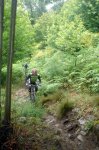 DSC04045.jpg