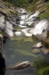 DSC04054.jpg