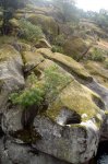 DSC04057.jpg