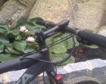 img019.jpg
