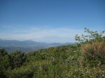 IMG_2545 [800x600].JPG