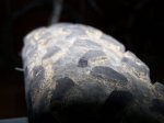 100_2663.jpg
