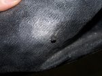 100_2653.jpg