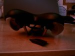 IMAG0006.JPG