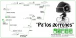1palosgorrones.jpg