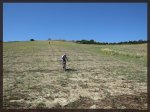 Campo a traves 2.jpg