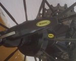 IMG00646.jpg