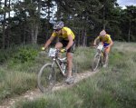 IMGP0177_redimensionar.jpg