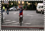 ganador 2008.jpg
