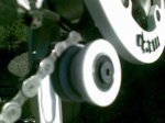 detalle.jpg
