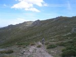 P6100013 (Medium).JPG