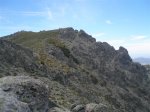 P6100021 (Medium).JPG
