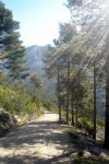DSC03902.jpg