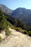 DSC03903.jpg