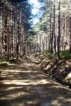 DSC03905.jpg