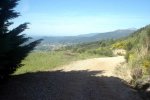 DSC03906.jpg