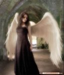 20080426-angel_perdido[1].jpg