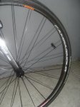 ruedas 2009 002.jpg