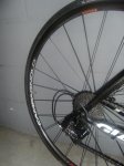ruedas 2009 004.jpg