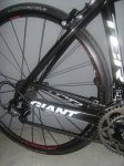 ruedas 2009 006.jpg