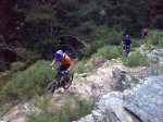 11062009217_bearbeitet-1.jpg