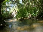 Foto38.JPG