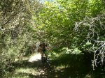 Foto72.JPG