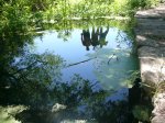 Foto79.JPG