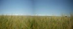 Panorama 1 (Medium).JPG