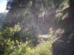 2009-06-07 16-07-28-11382_redimensionar.JPG