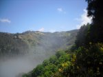 2009-06-07 16-07-56-11384_redimensionar.JPG