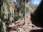 2009-06-07 16-14-58-11392_redimensionar.JPG