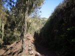 2009-06-07 16-15-02-11393_redimensionar.JPG