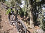 2009-06-07 16-15-32-11395_redimensionar.JPG