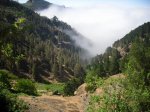 2009-06-07 16-35-32-11396_redimensionar.JPG