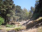 2009-06-07 16-37-02-11399_redimensionar.JPG