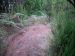 2009-06-07 17-24-30-11406_redimensionar.JPG