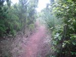 2009-06-07 17-24-34-11407_redimensionar.JPG